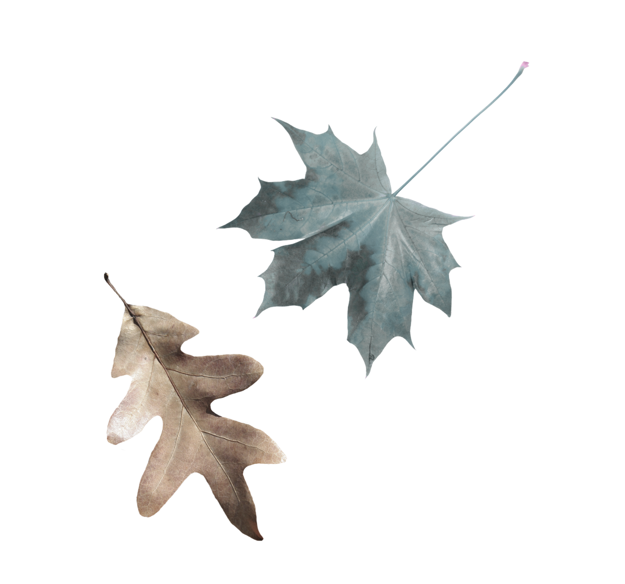 Right image