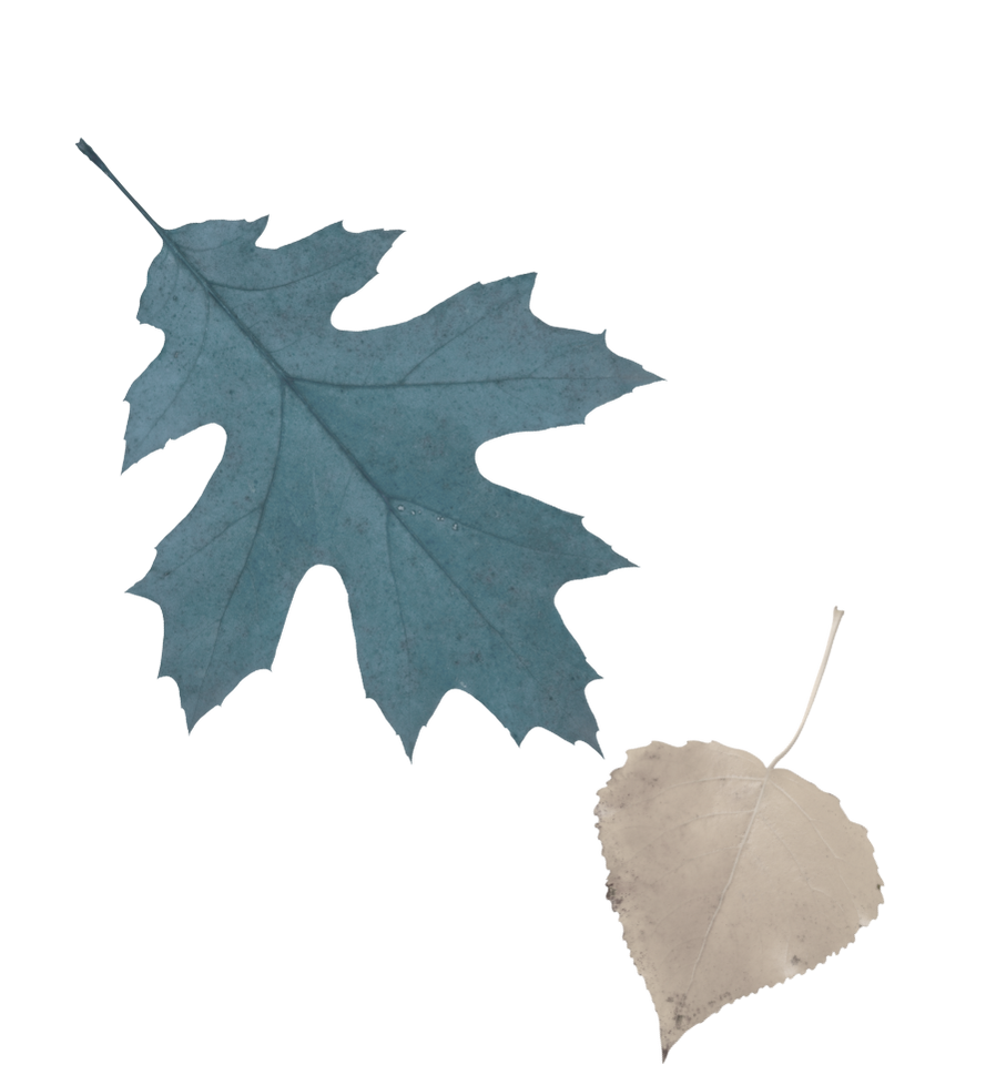Left image