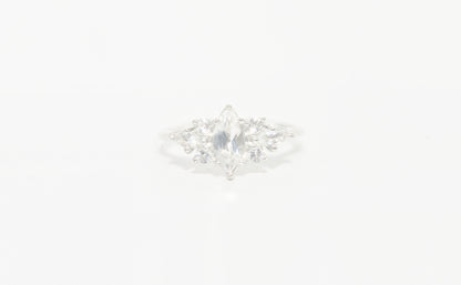 Marquise dream