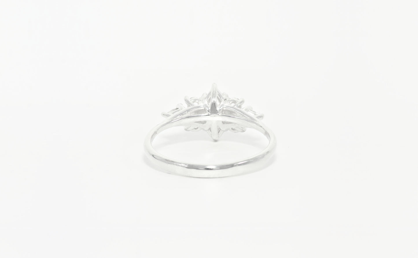 Marquise dream