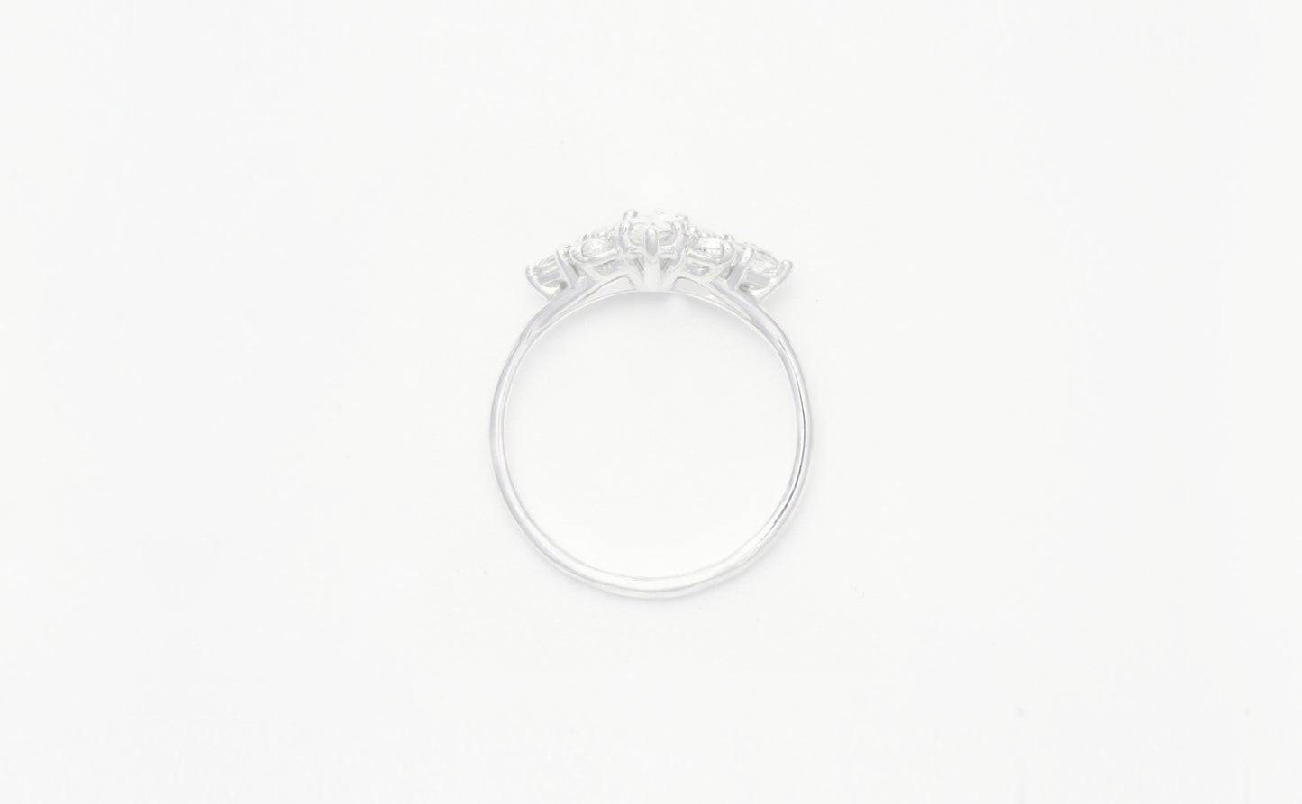 Marquise dream