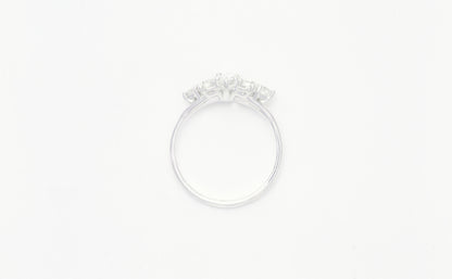Marquise dream