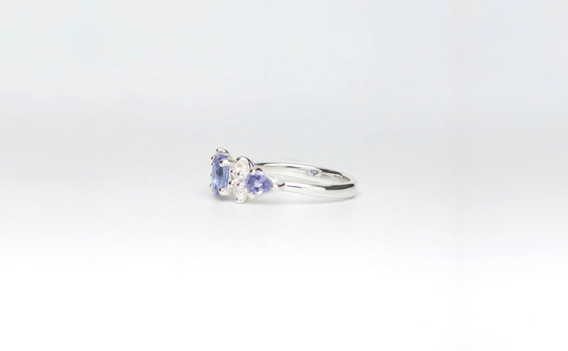 Tanzanite | Ring aus Silber 925 mit Tansanit oval Schliff aus Tansania (0,45 ct) von Lulu Amani