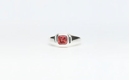 Signet ring octagon w/ Malaya Garnet